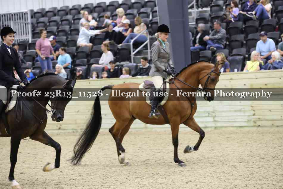 Proof Number 23R13_11528