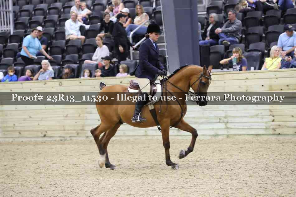 Proof Number 23R13_11530