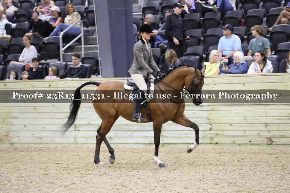 Proof Number 23R13_11531