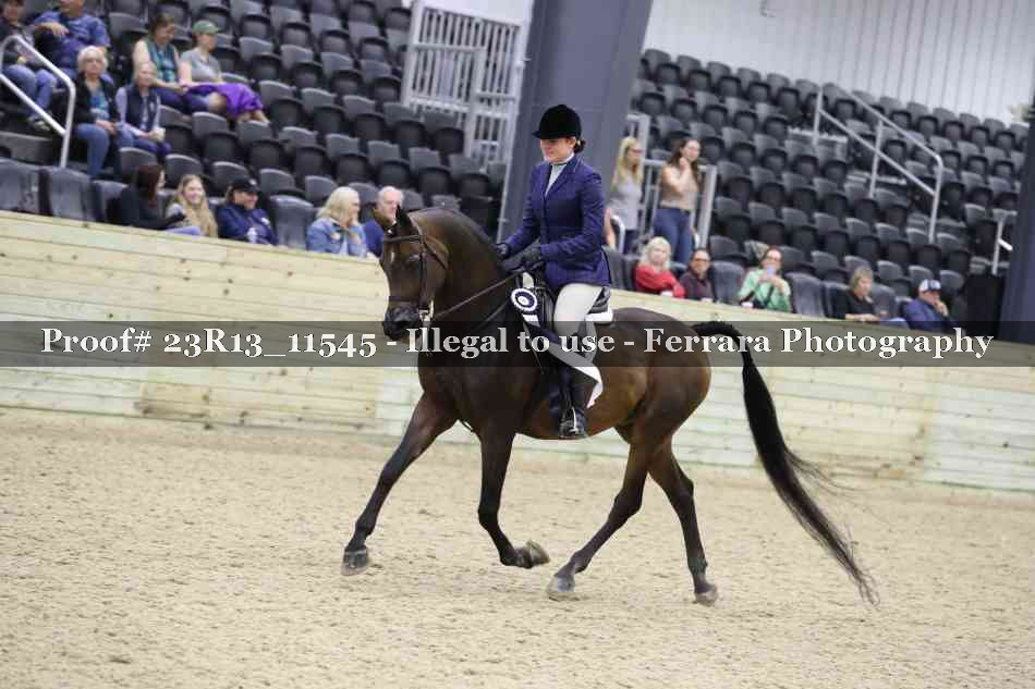 Proof Number 23R13_11545