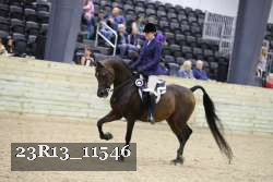 23R13_11546 thumbnail