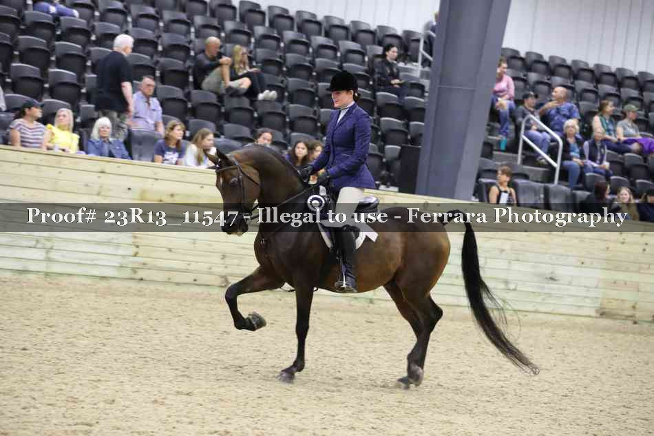 Proof Number 23R13_11547