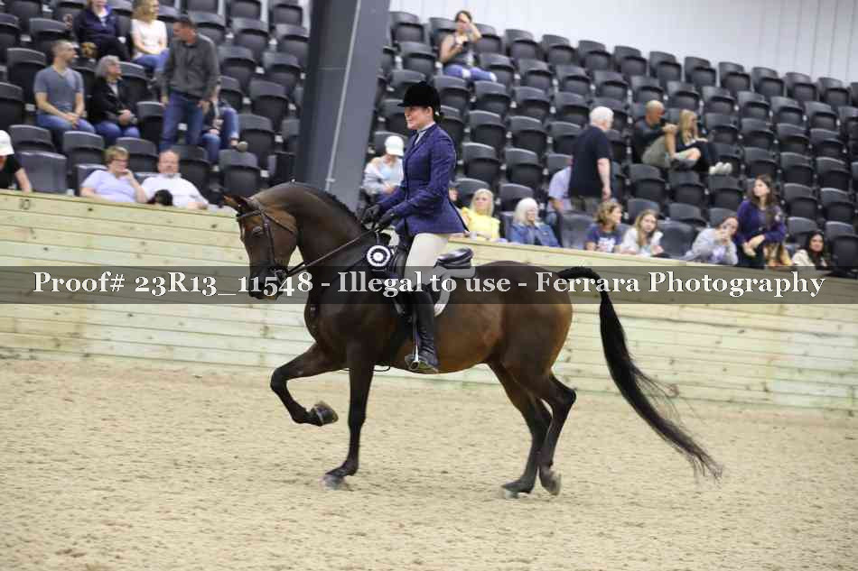 Proof Number 23R13_11548