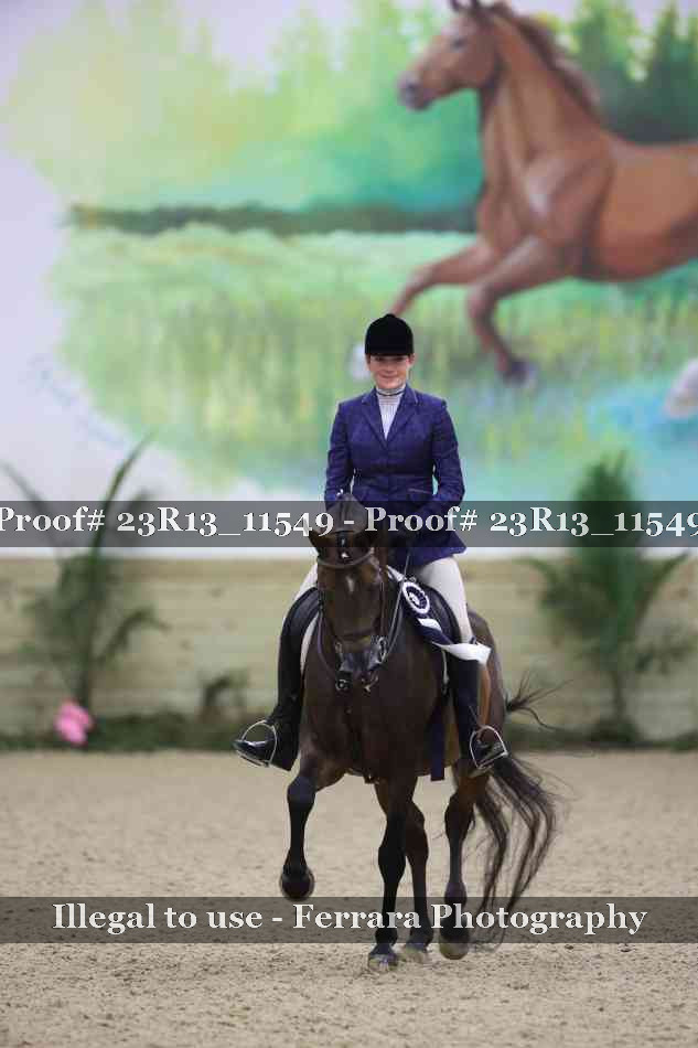 Proof Number 23R13_11549