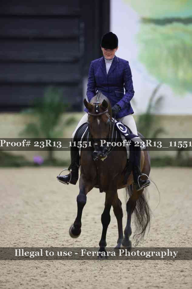 Proof Number 23R13_11551