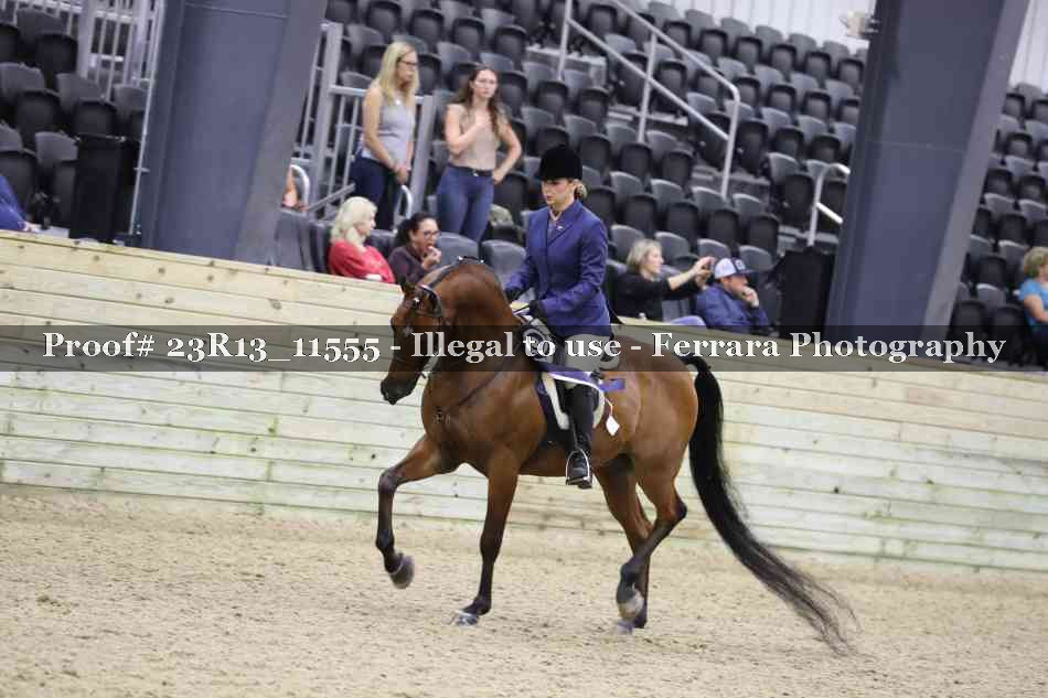 Proof Number 23R13_11555