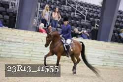 23R13_11555 thumbnail