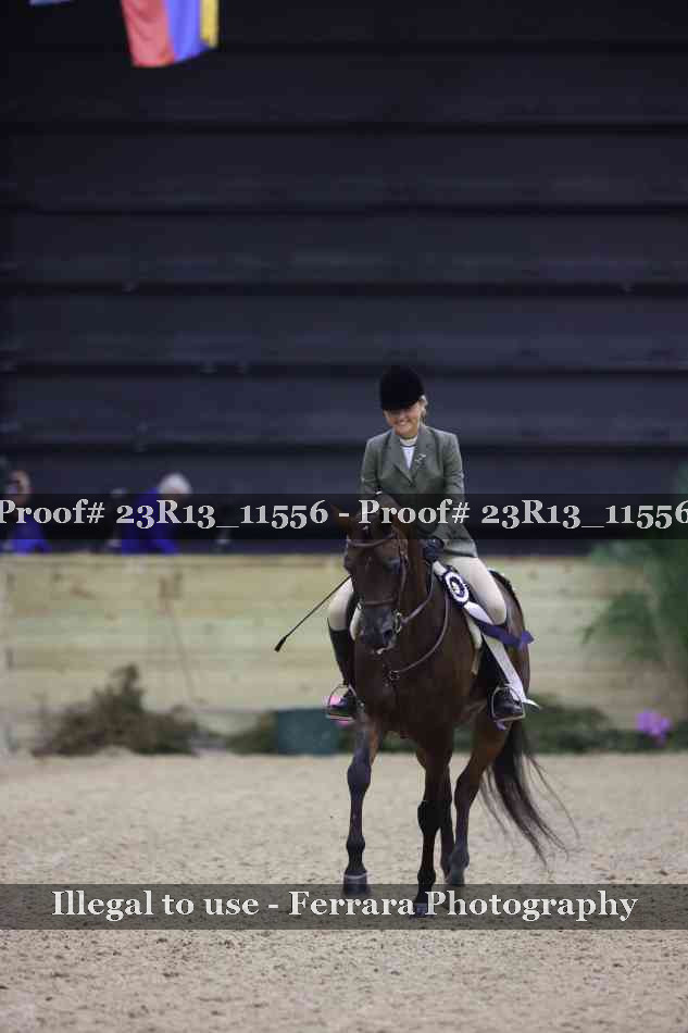 Proof Number 23R13_11556