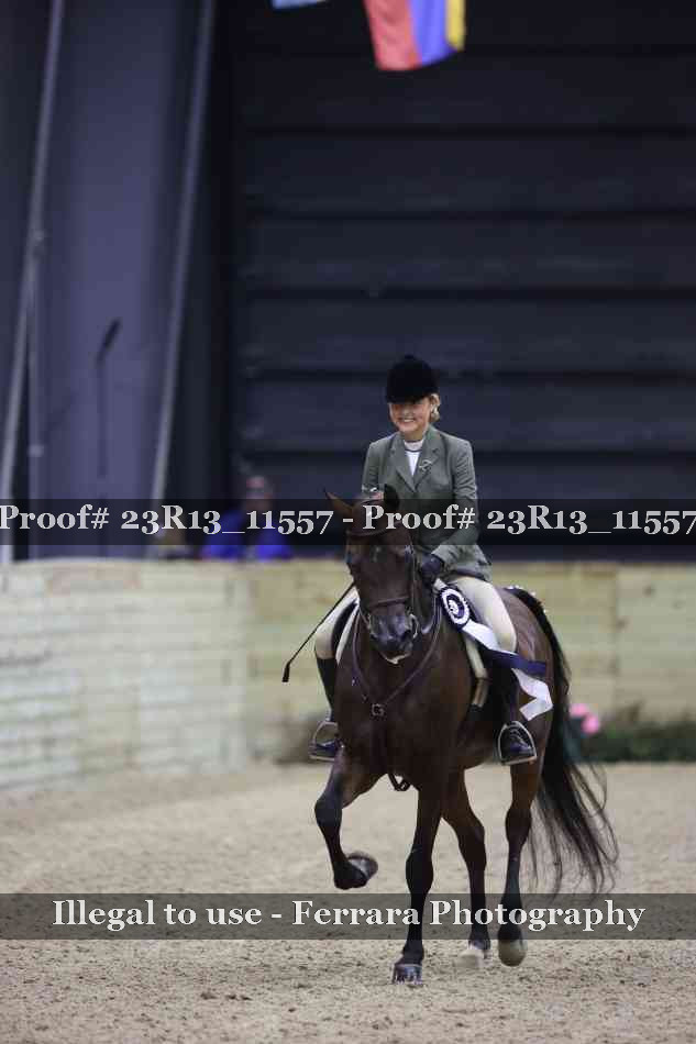 Proof Number 23R13_11557