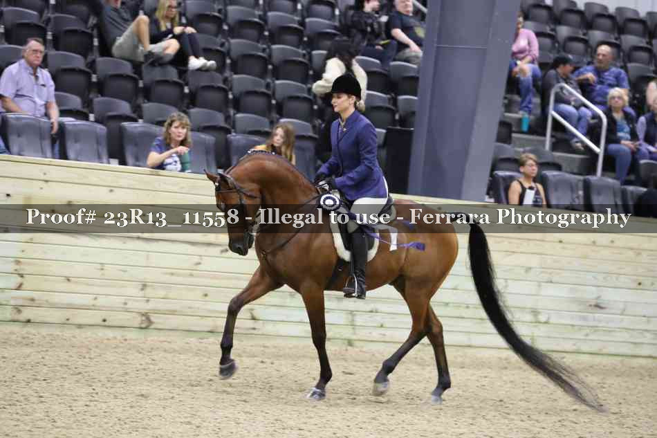 Proof Number 23R13_11558