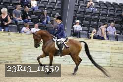 23R13_11559 thumbnail