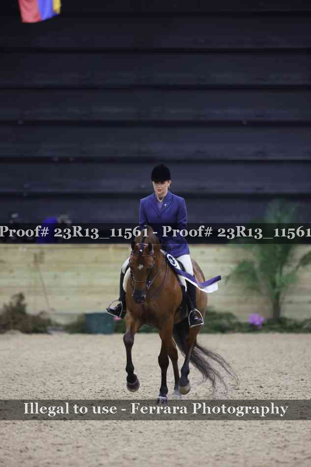 Proof Number 23R13_11561
