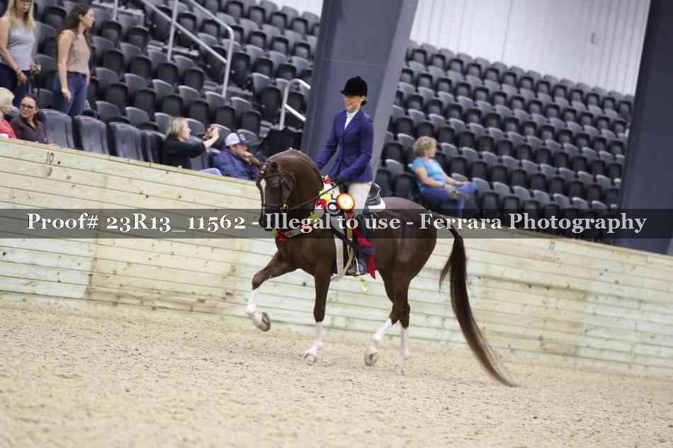 Proof Number 23R13_11562