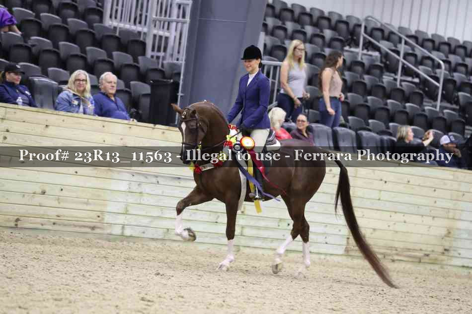 Proof Number 23R13_11563