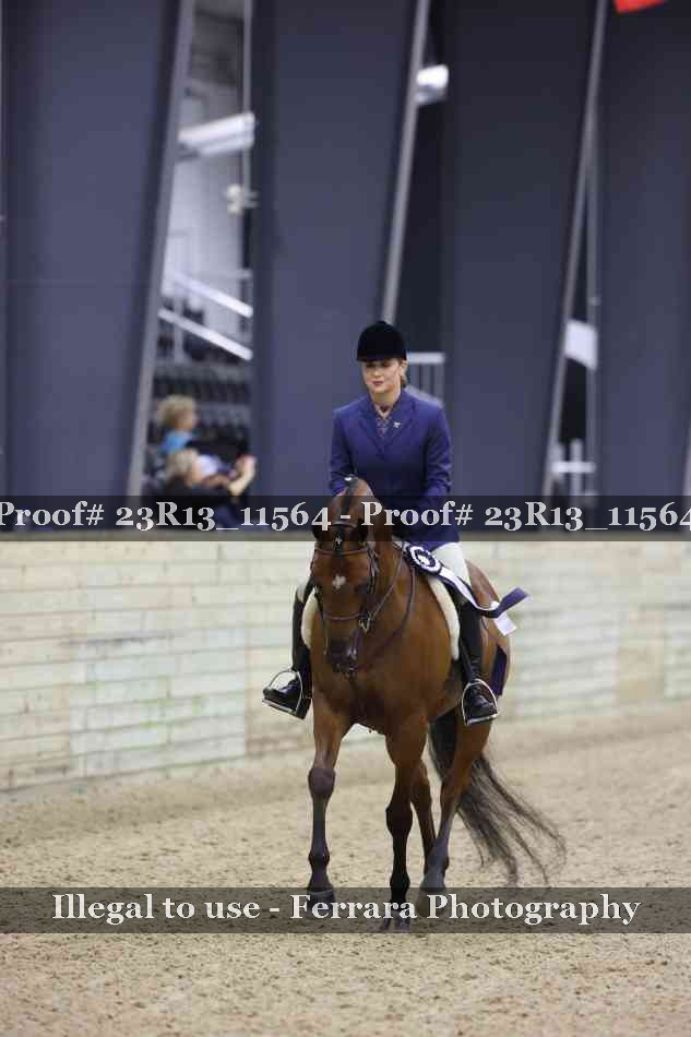 Proof Number 23R13_11564