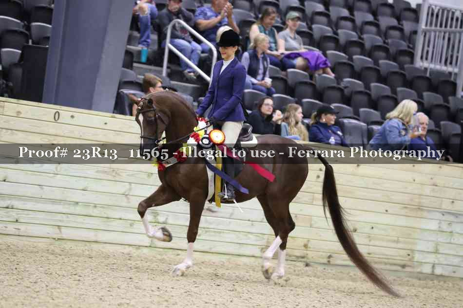 Proof Number 23R13_11565