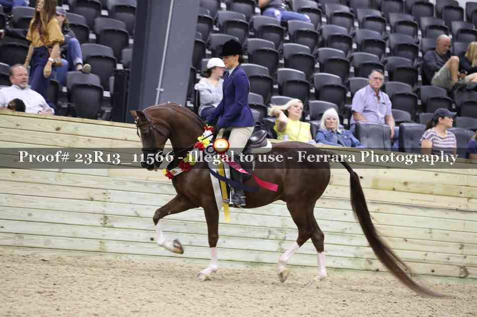 Proof Number 23R13_11566