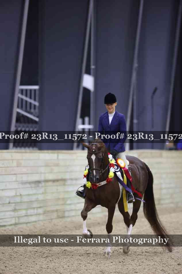 Proof Number 23R13_11572