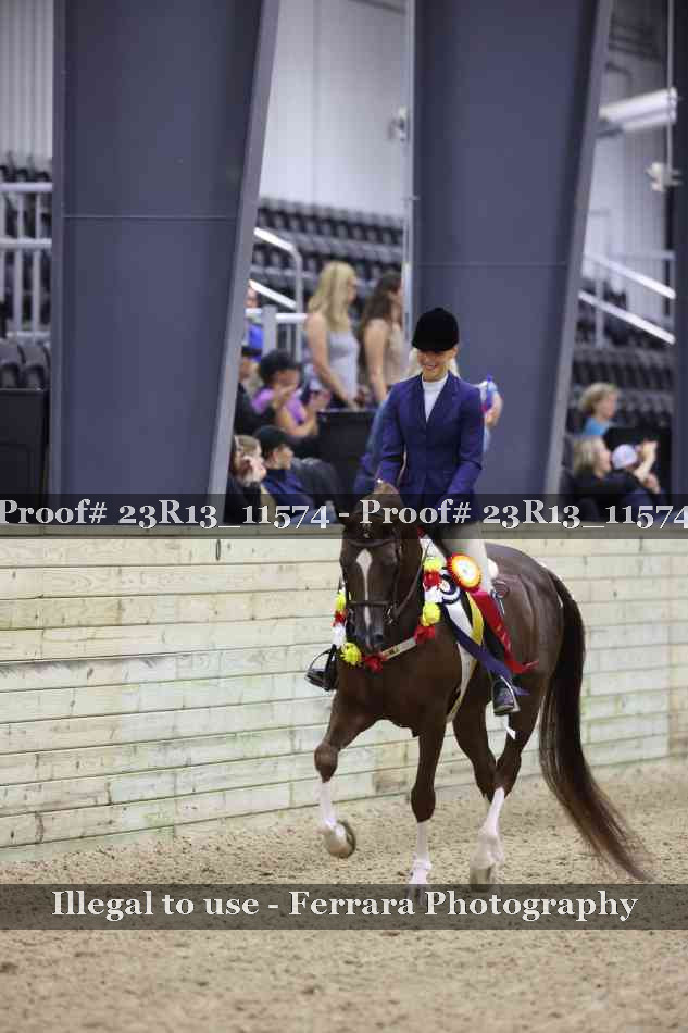 Proof Number 23R13_11574