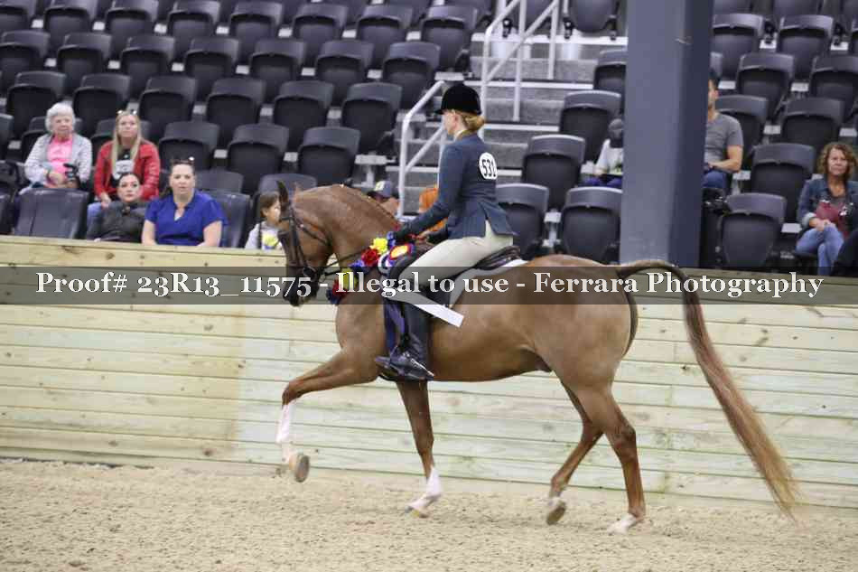 Proof Number 23R13_11575