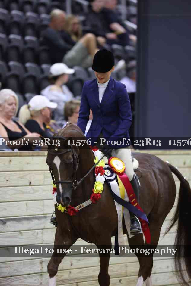 Proof Number 23R13_11576