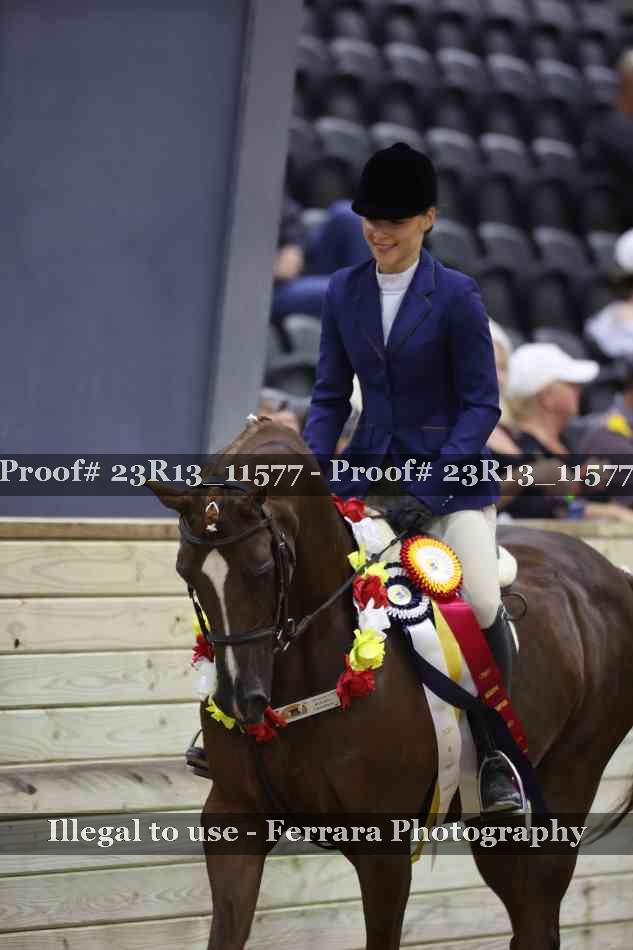 Proof Number 23R13_11577