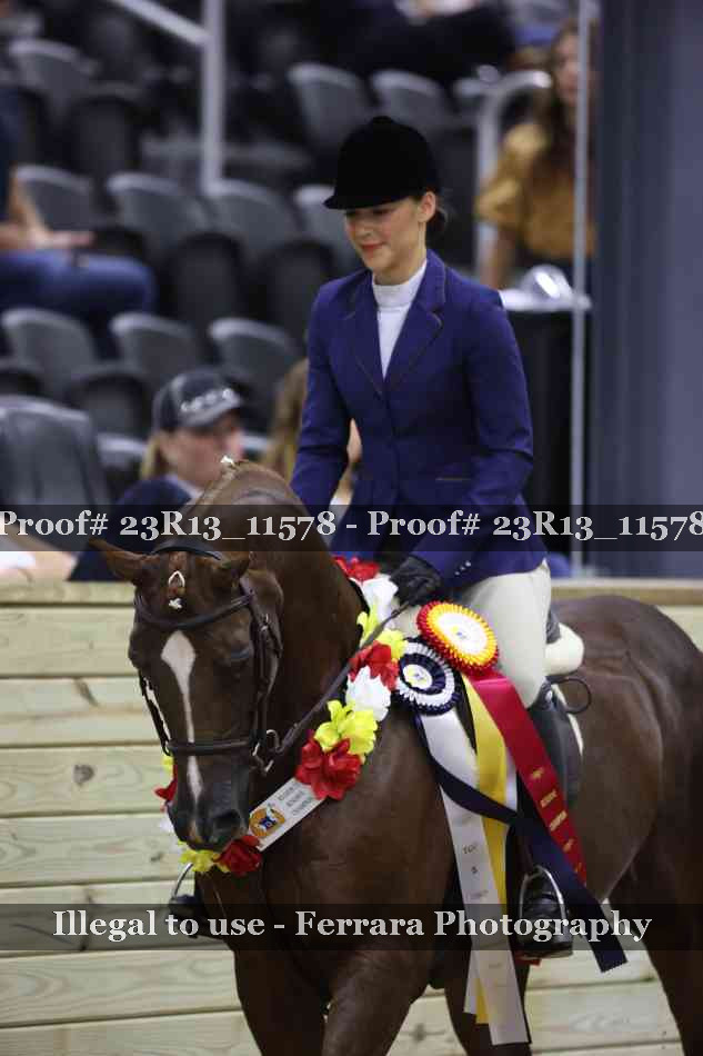 Proof Number 23R13_11578