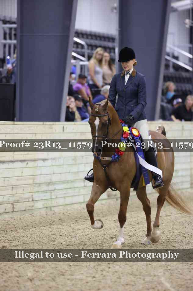 Proof Number 23R13_11579