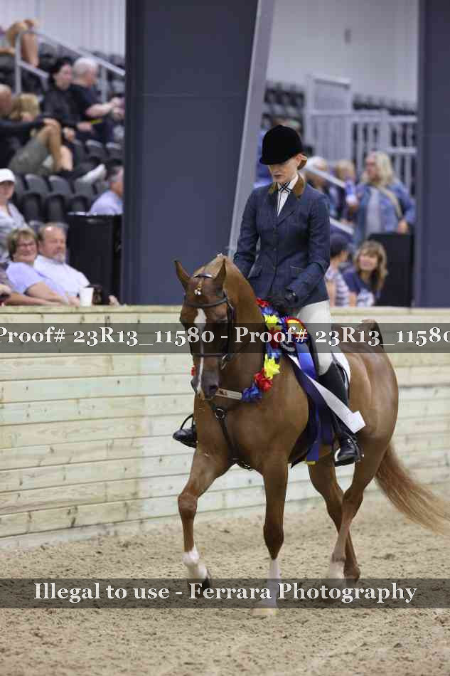 Proof Number 23R13_11580