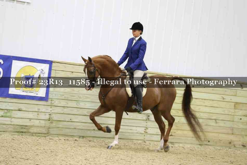 Proof Number 23R13_11585