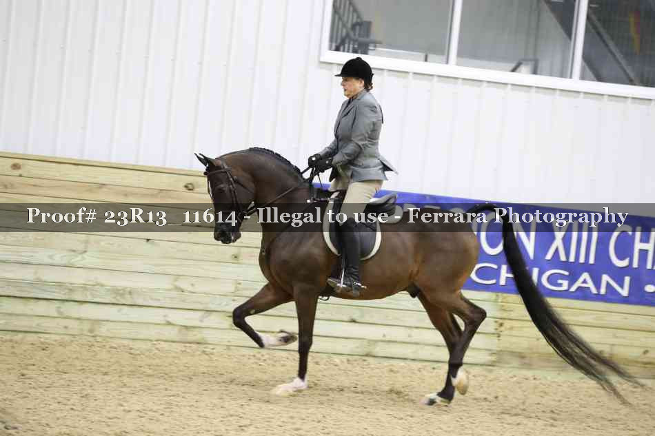 Proof Number 23R13_11614