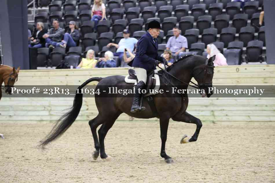 Proof Number 23R13_11634
