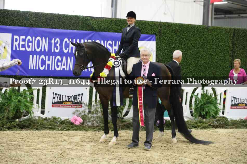 Proof Number 23R13_11644