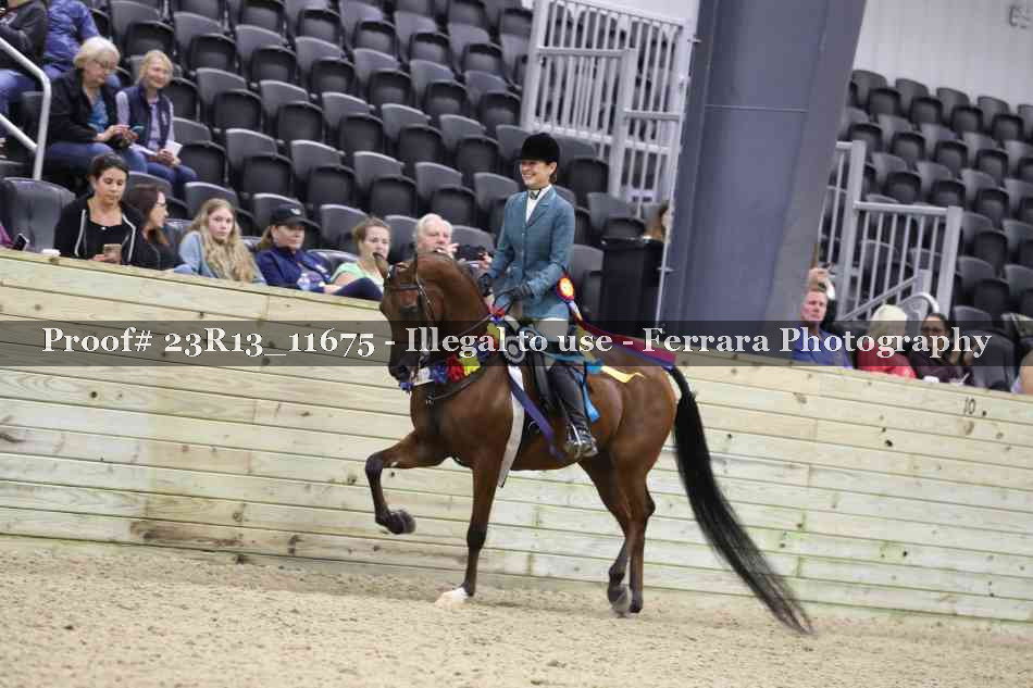 Proof Number 23R13_11675
