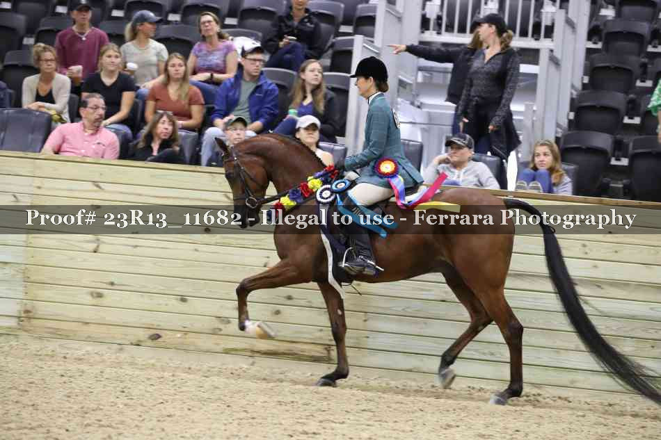 Proof Number 23R13_11682