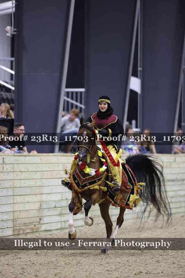 Proof Number 23R13_11703