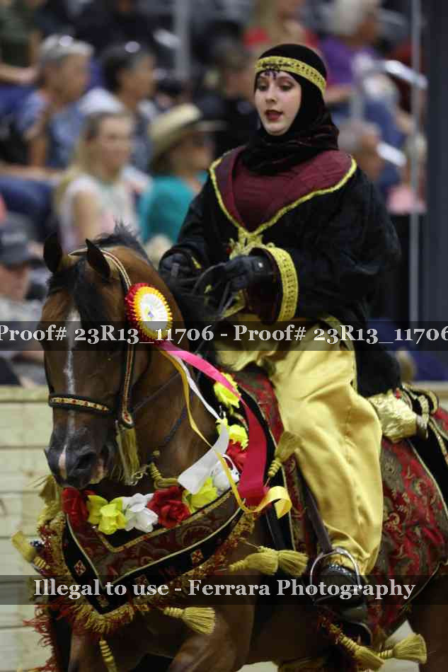 Proof Number 23R13_11706