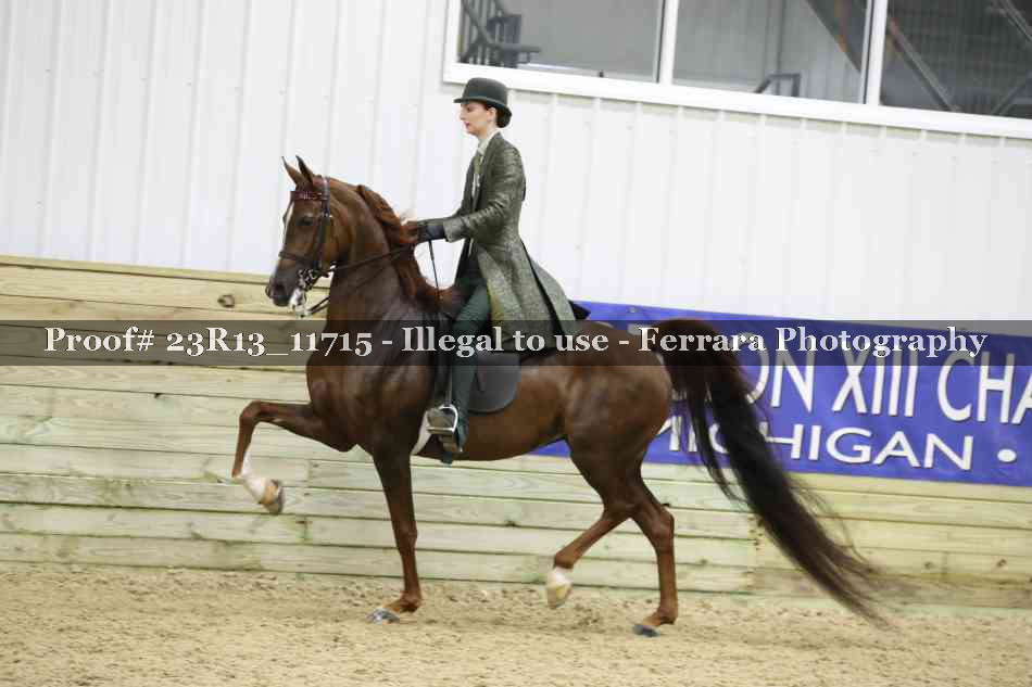Proof Number 23R13_11715