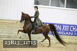 23R13_11715 thumbnail
