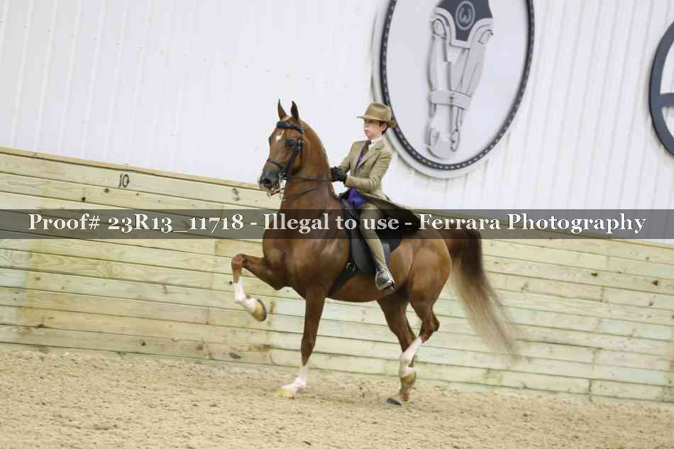 Proof Number 23R13_11718