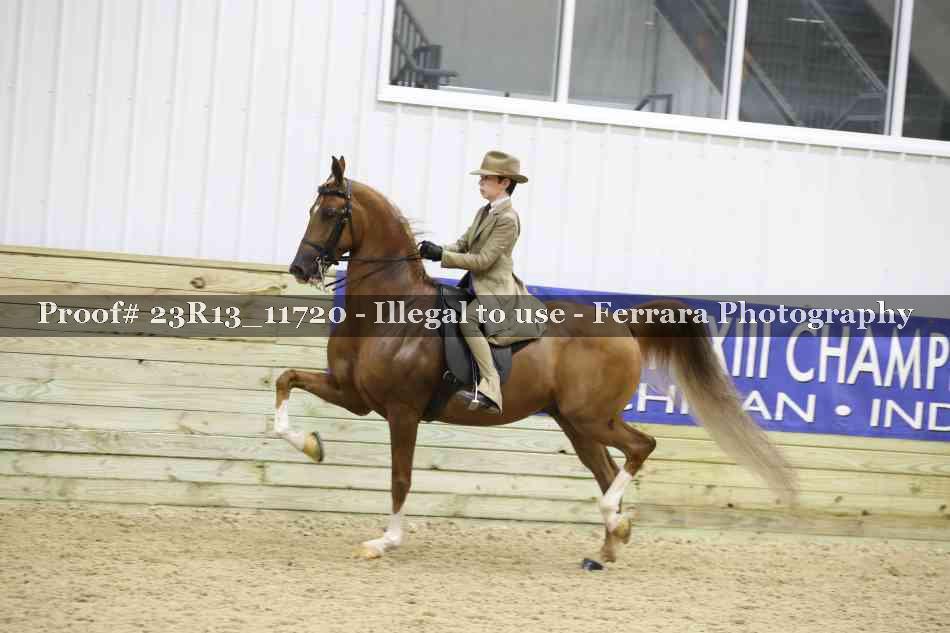 Proof Number 23R13_11720