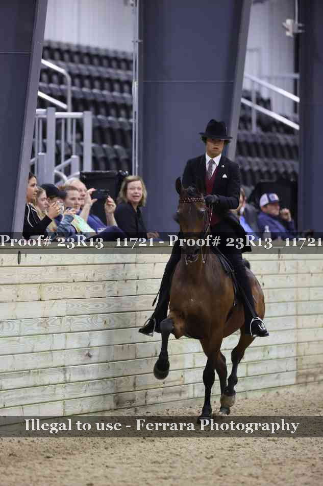 Proof Number 23R13_11721