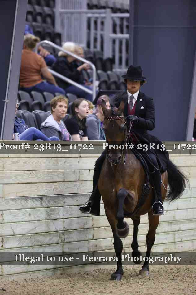 Proof Number 23R13_11722