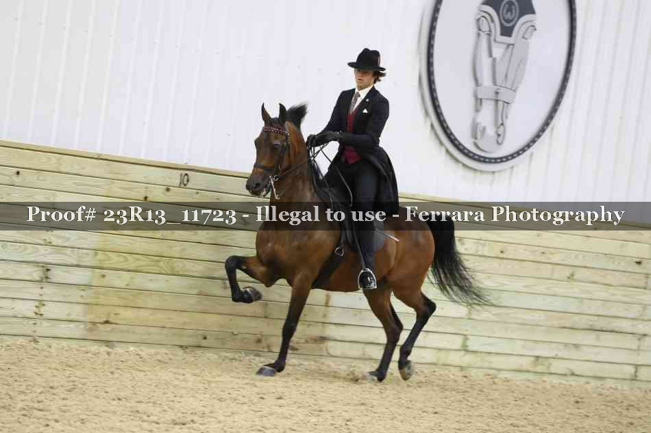 Proof Number 23R13_11723