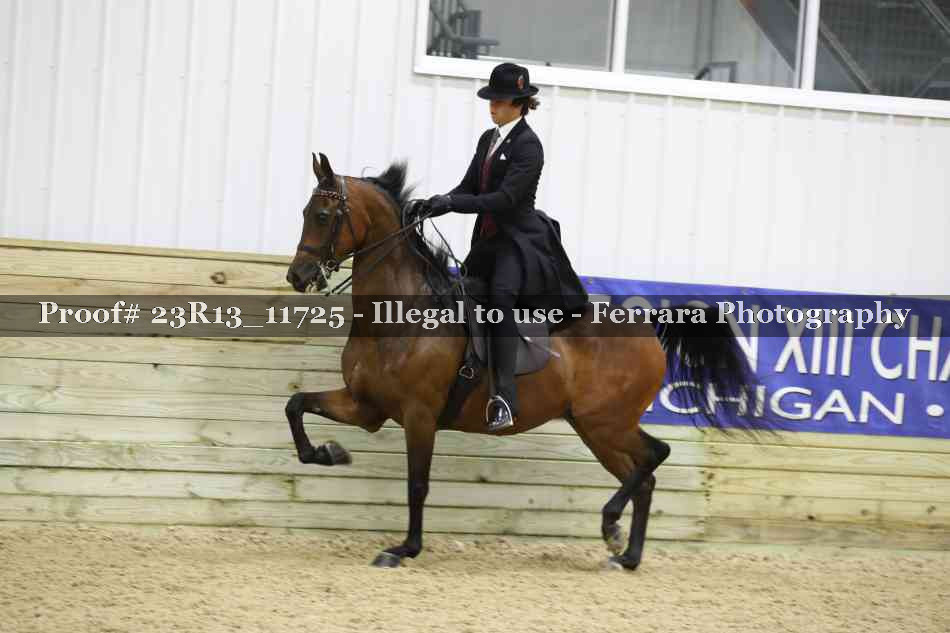 Proof Number 23R13_11725