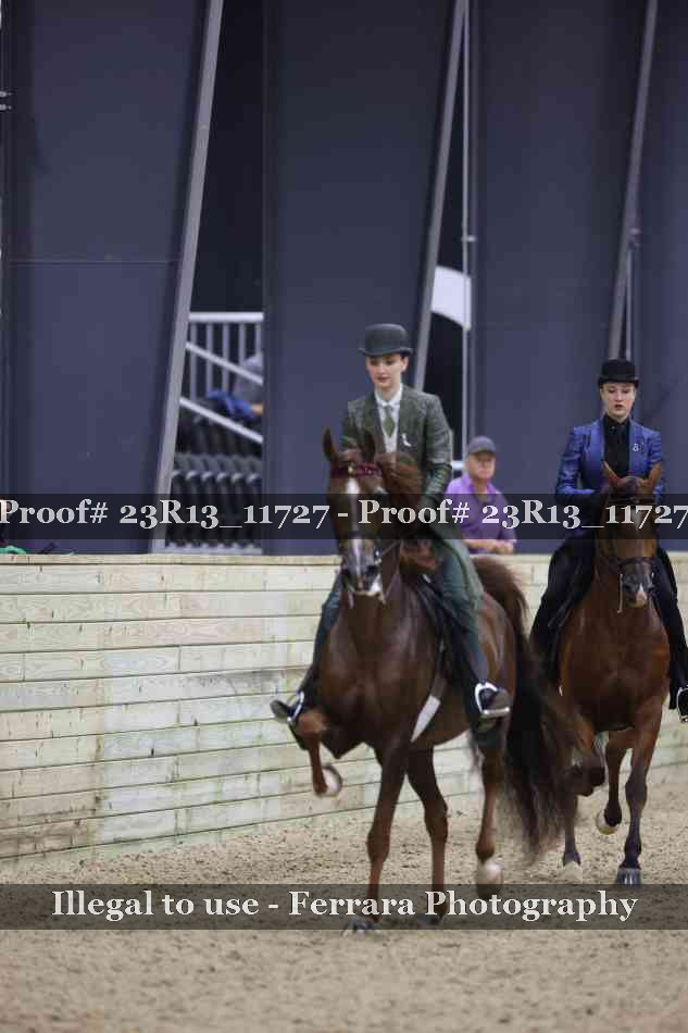 Proof Number 23R13_11727