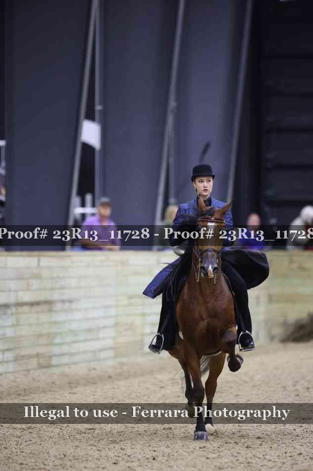 Proof Number 23R13_11728