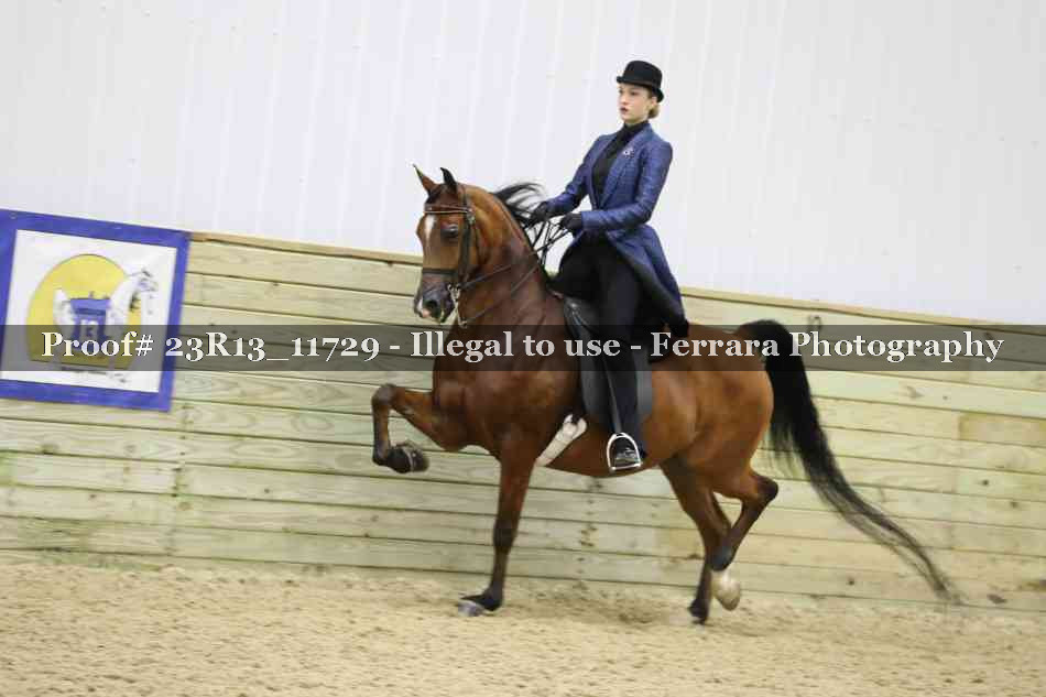 Proof Number 23R13_11729