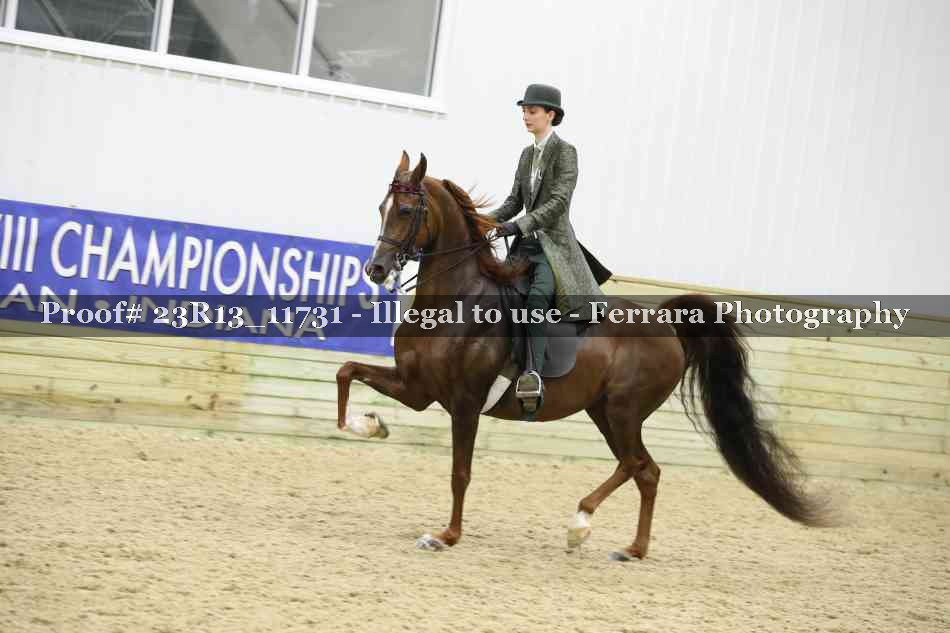 Proof Number 23R13_11731
