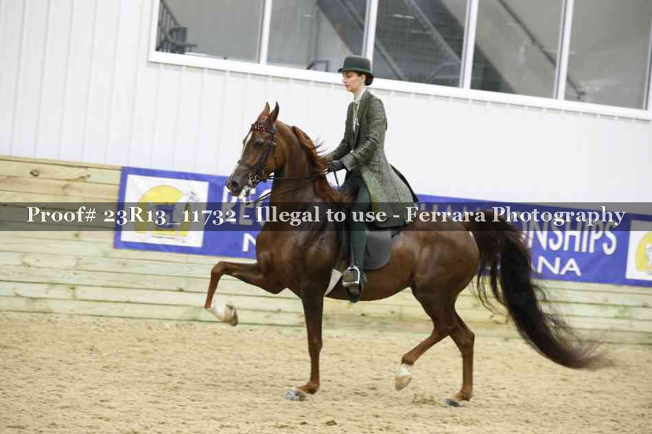Proof Number 23R13_11732